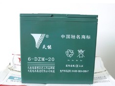 天能电池 60V20AH